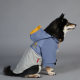 Paw Dream Trendy Windproof and Rainproof Dog Raincoat for Large Dogs, Pet Raincoat
