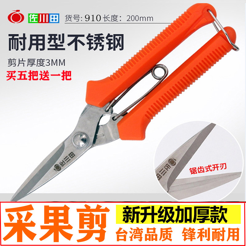 Thin fruit pruning shears grape branch special scissors tilted head vegetable and fruit fruit picking scissors fruit garden orange fruit tree fruit picking scissors