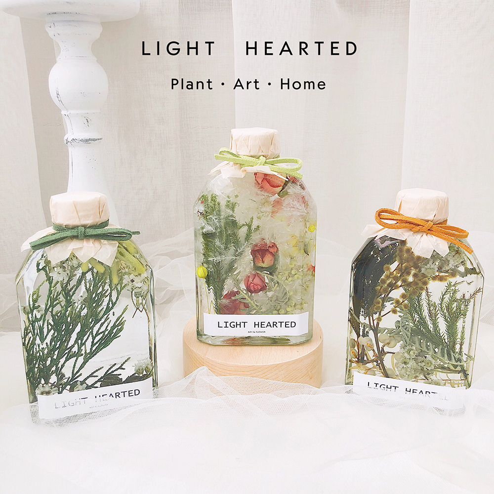 Plankton vase plant specimen interior decoration immortal flower dried flower gift box ornament girlfriend birthday Valentine's Day gift