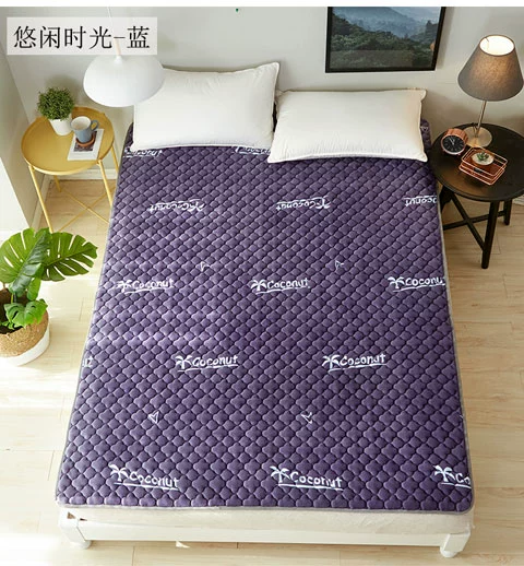 San hô lông cừu tấm đơn mảnh đôi ký túc xá chăn bông đệm ấm giường giường mùa đông chăn chống trượt flannel chăn