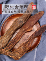 Wild Gold suoyang500g Premium Suoyangmen tonic bubble wine material with Epimedium meat calm Suoyang tablets