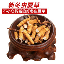 5g big broken grass cordyceps sinensis Qinghai Yushu cordyceps broken grass is not that Qu east cordyceps summer grass