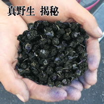 Real pure wild black wolfberry Qinghai Qaidam specialty Natural premium black dog wolfberry structure Ji Xinjiang Ningxia