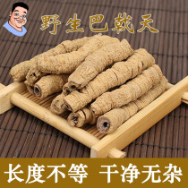 Han Ge Morinda wild 500g premium dry goods male tonic can be used with Cistanche lock Yang bubble wine material