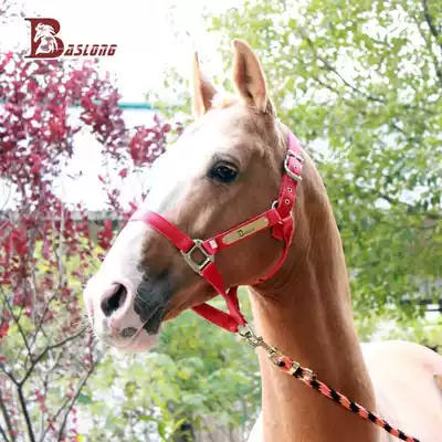 Thickened horse cage head horse cage head durable horse dragon set pure copper nameplate decoration eight-foot dragon harness BCL328502