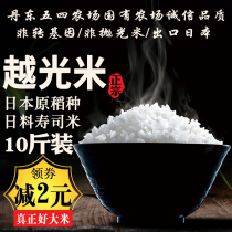 Yueguang Rice 10 Jin Dandong May Fourth Farm Pearl Rice Japanese Sushi Rice Japonica Rice New Rice Northeast Rice 5kg