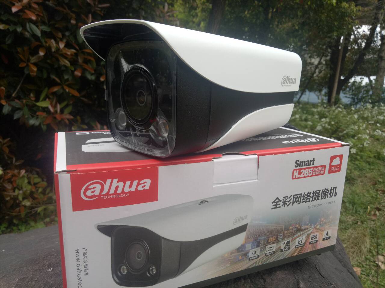 Dahua new product DH-IPC-HFW2233M-AS-LED 2 million double lights white light full color POE gun spot