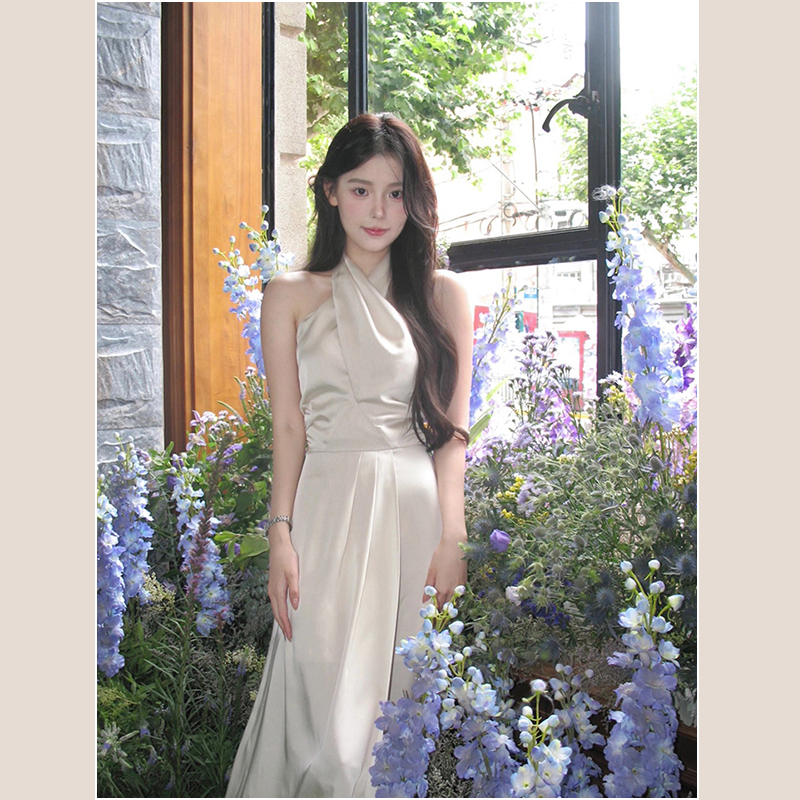 Long skirt, dress, advanced brace, french style, high-quality style Long skirt, dress, advanced brace, french style, high-quality style