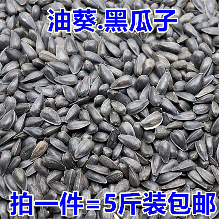 เมล็ดทานตะวันขนาดเล็ก “ไข่มุกดำ” เมล็ดทานตะวันชนิดมีน้ำมัน อาหารนกแก้ว ขนมสำหรับหนูแฮมสเตอร์และกระรอก อาหารนก บรรจุภัณฑ์ 2.5 กิโลกรัม พร้อมบริการจัดส่งฟรี