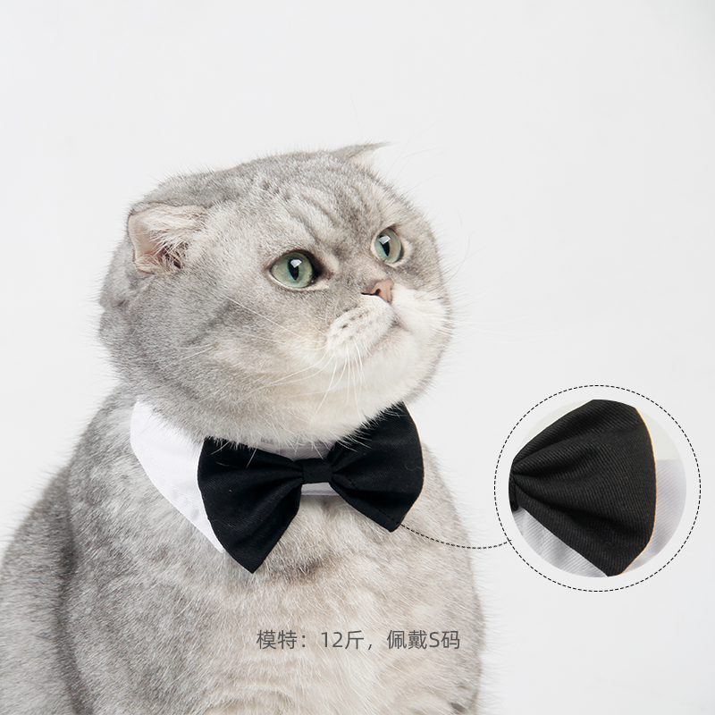 Jezai Zai Pet Supplies Collar Tie Necktie Neckline Ornaments Butterfly Knots Small And Medium Dog Kitty Accessories Gentleman Pets-Taobao
