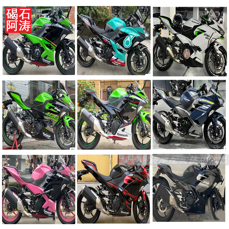 Kawasaki Ninja Ninja400 18-19-20-21-22 Years Full Car Shell Plate Flower Paint Hood