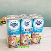 Hong Kong imported child chocolate milk beverage milk 225ml * 6 mother milk