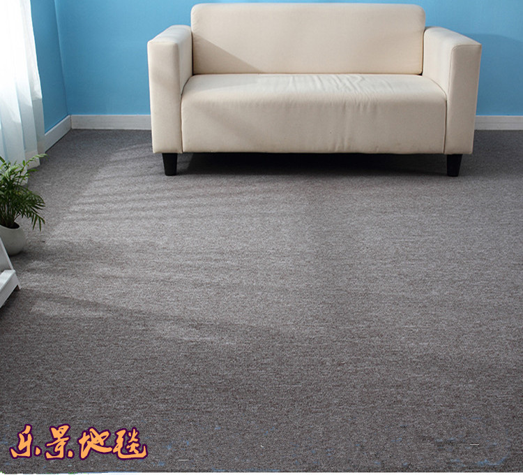 đống vòng lặp thảm lửa mức chống B1 xám đỏ xanh trên văn phòng sàn nhà máy Dance Studio Giai đoạn cụ thể - Thảm thảm chụp hình