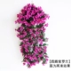 Hoa giả mây treo tường hoa giả nhựa tím trong nhà trồng cây trang trí tường phòng khách treo giỏ trang trí - Hoa nhân tạo / Cây / Trái cây
