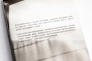 正版 光年 詹姆斯·索特 媲美《斯通纳》的20世纪文学遗珠，中文版首度引进 理想国lxg
