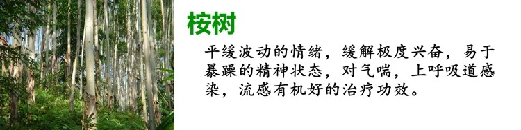 Bougie - Ref 2488440 Image 36