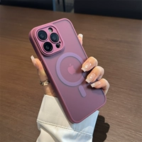 Магнитный цвет сливы.