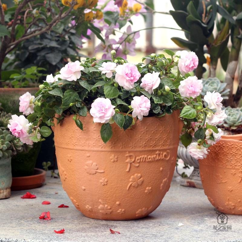 Clearance Sale: Japanese and Korean Large-Diameter Terracotta Flower Pots for Succulents, Suitable for Balcony, Office, Home, and Small Green Plants, Unglazed Clay Pots