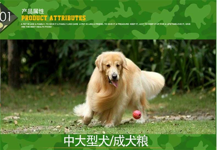 Cựu chiến binh, Golden Mammoth, Labrador Husky, chó trưởng thành lớn, tự đào tạo, công thức tự nhiên, thức ăn cho chó - Chó Staples