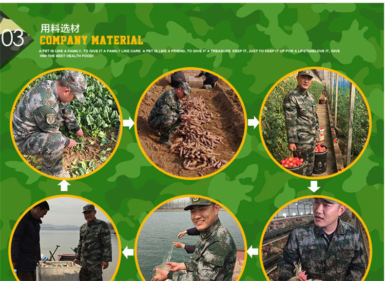 Cựu chiến binh, Golden Mammoth, Labrador Husky, chó trưởng thành lớn, tự đào tạo, công thức tự nhiên, thức ăn cho chó - Chó Staples hạt natural core