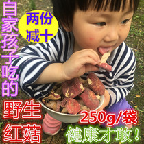 Fujian Wuyishan red mushroom Wild authentic red mushroom Shiitake mushroom Red mushroom diced dried goods 250g 500g