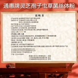 Бесплатные споры Ганодерма и порошок мицелия кордицепса марки Elder Tonghui, 60 г/комплект