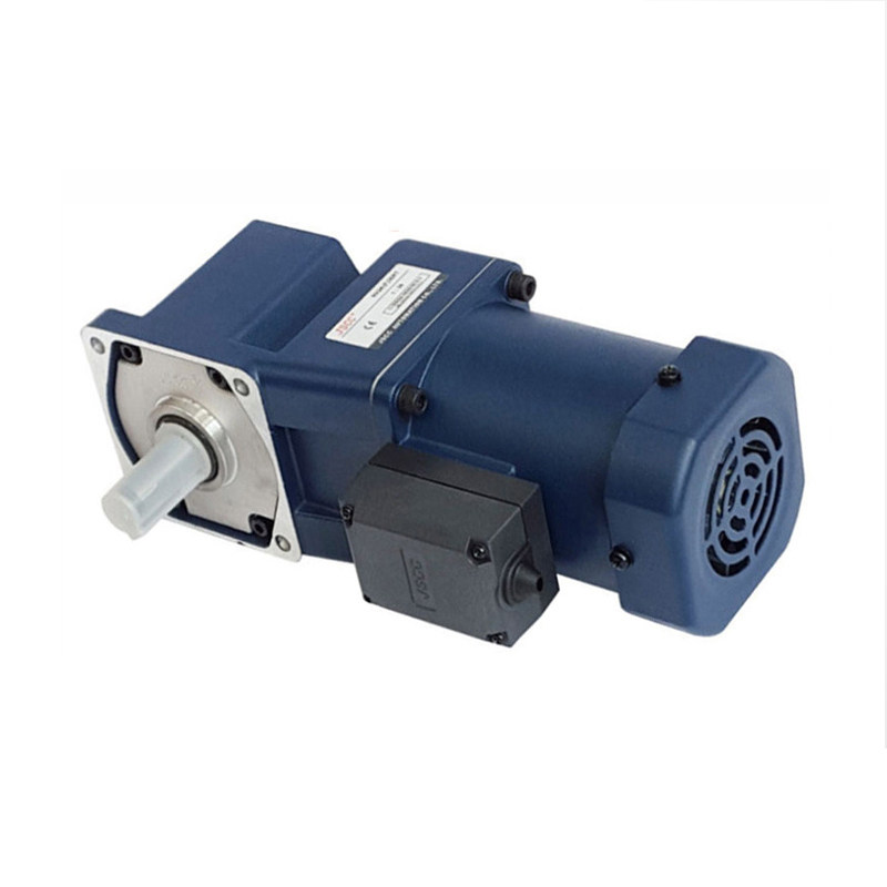 JSCC Lean moment motor 70TP06DV22 winding motor 80TP10DV22 plug-in electric motor-Taobao