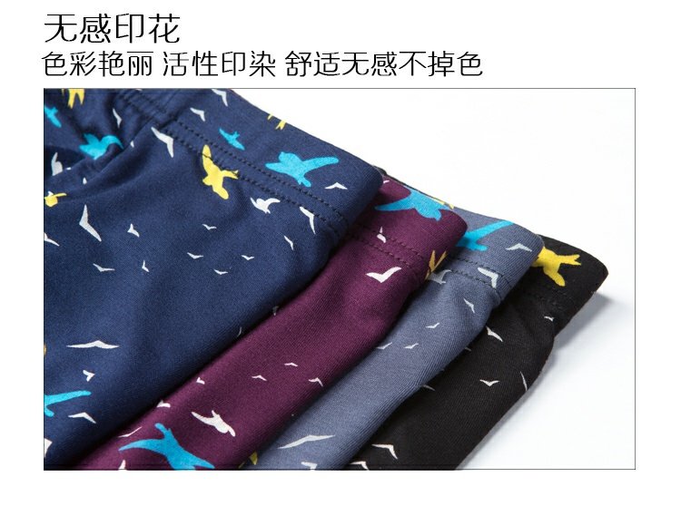 Jin Di Shi 4 hộp quà tặng modal nam boxer tóm tắt gợi cảm mùa hè trẻ trung quần lót đùi