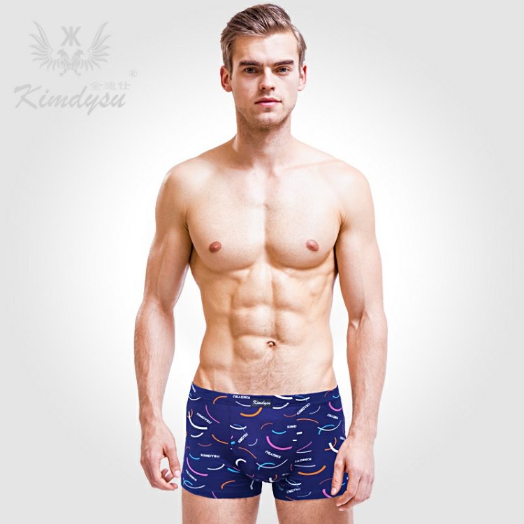 Jin Di Shi 4 hộp quà tặng modal nam boxer tóm tắt cotton thanh niên đồ lót nam quần lót dây nam