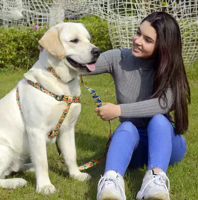 Doralove狗狗牵引绳带小型犬中型犬大型犬遛泰迪狗绳子胸背带链