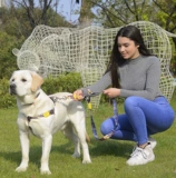 Dohalove Dog Traction Tope Rand маленькая собака средняя собака большая собака, ходящая плюшевая собака веревочная цепь ремня грунта