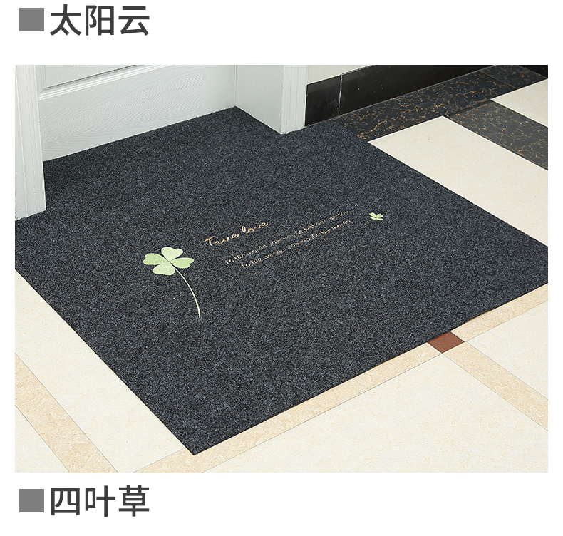 Lối vào cửa mat cửa ra vào mat tùy chỉnh cắt hộ gia đình cửa lối vào thảm sàn thảm mat - Thảm sàn xốp lót sàn
