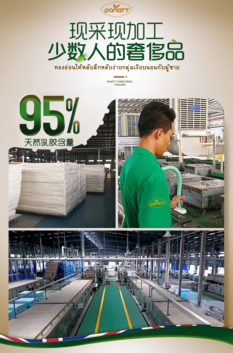 Gối u-gối Thái Lan Gối cổ tử cung tự nhiên Gối NAP gối ngủ máy bay gối du lịch - Gối gối ôm cho trẻ sơ sinh