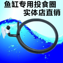 Feeding ring fish feeder feeder feeding ring fish tank special feeder anti-drift