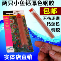 Two small fish in the United States imported calcium algae cylinder glue steel glue coral glue link coral live stone