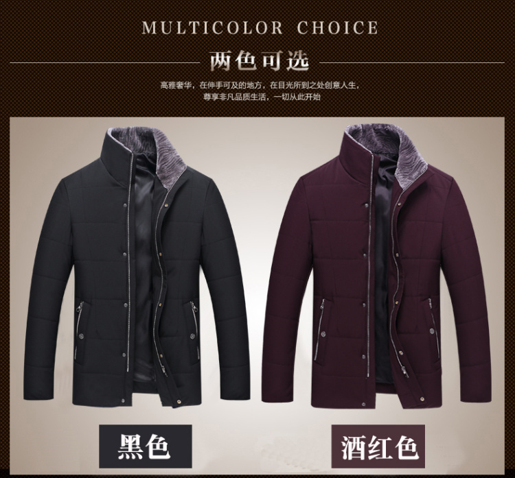 Blouson hiver pour homme   OTHER - Ref 3112087 Image 6