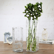 Dibyna Bamboo vase decoration Living room king-size hydroponic floor-to-ceiling thickened glass transparent flower arrangement water bamboo tube