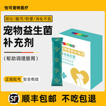 Cat dog probiotics conditioning gastropuppy diarrhea and vomiting digestion of digestive treasure