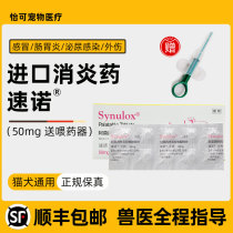 Speedspot cat nose treatments for cats sneeze Amosilin cats and dogs with pet anti-inflammation for 50mg