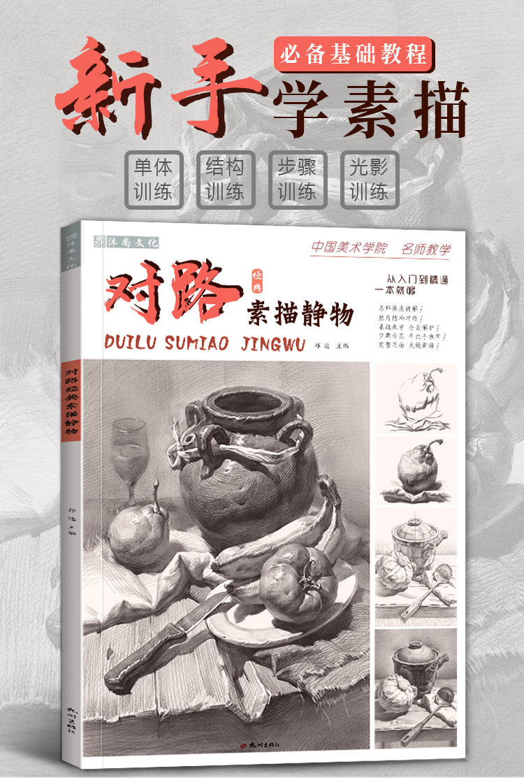 对路素描静物单体组合结构照片画临摹范本基础写生入门考级高考联考教学国美素材几何体蔡兼美术绘画画册本初级书籍教程中考教材书