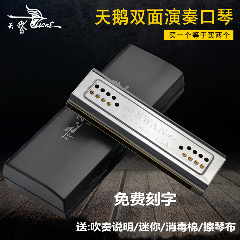 Swan 24-hole polyphonic C-tune G-tune adult professional playing student beginner self-learning double-sided double-tone two-sided harmonica
