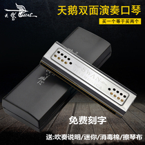 Swan 24-hole polyphonic C- key G-key adult professional performance students self-taught double-sided double-tone harmonica