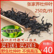 Buy 2 get 3 Zhangjiajie specialty wild Eucommia tea buds Eucommia leaf premium mens and womens health tea Non-male flowers