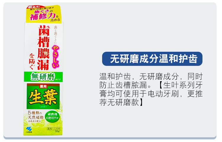 【日本直郵】日本KOBAYASHI 小林製藥 生葉天然植物牙膏 有效防止牙周炎 清新口氣 黃色裝 100g