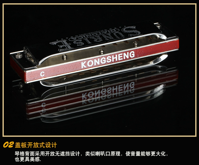 Harmonica 10 lỗ blues mười lỗ gỗ đàn hương chơi nhạc cụ blues có thể được thay đổi giai điệu PADDY12 chơi hòa tấu - Nhạc cụ phương Tây kèn đồng