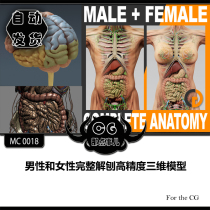  MC0018 Male and female complete planing high-precision three-dimensional model