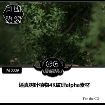  IM 0009 Realistic leaf plant 4K texture alpha vector