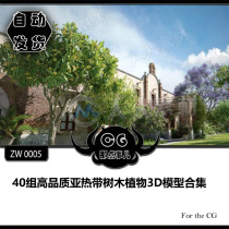 ZW0005 40 sets of high-quality subtropical trees and plants 3D model collection