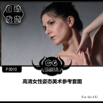 P 0010 High-definition female posture art reference set