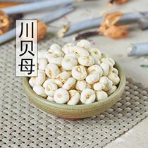 Chuanbei wild Chuanbei mother Chuanbei Chinese herbal medicine Pearl shellfish Sichuan direct grinding Chuanbei powder 500 grams